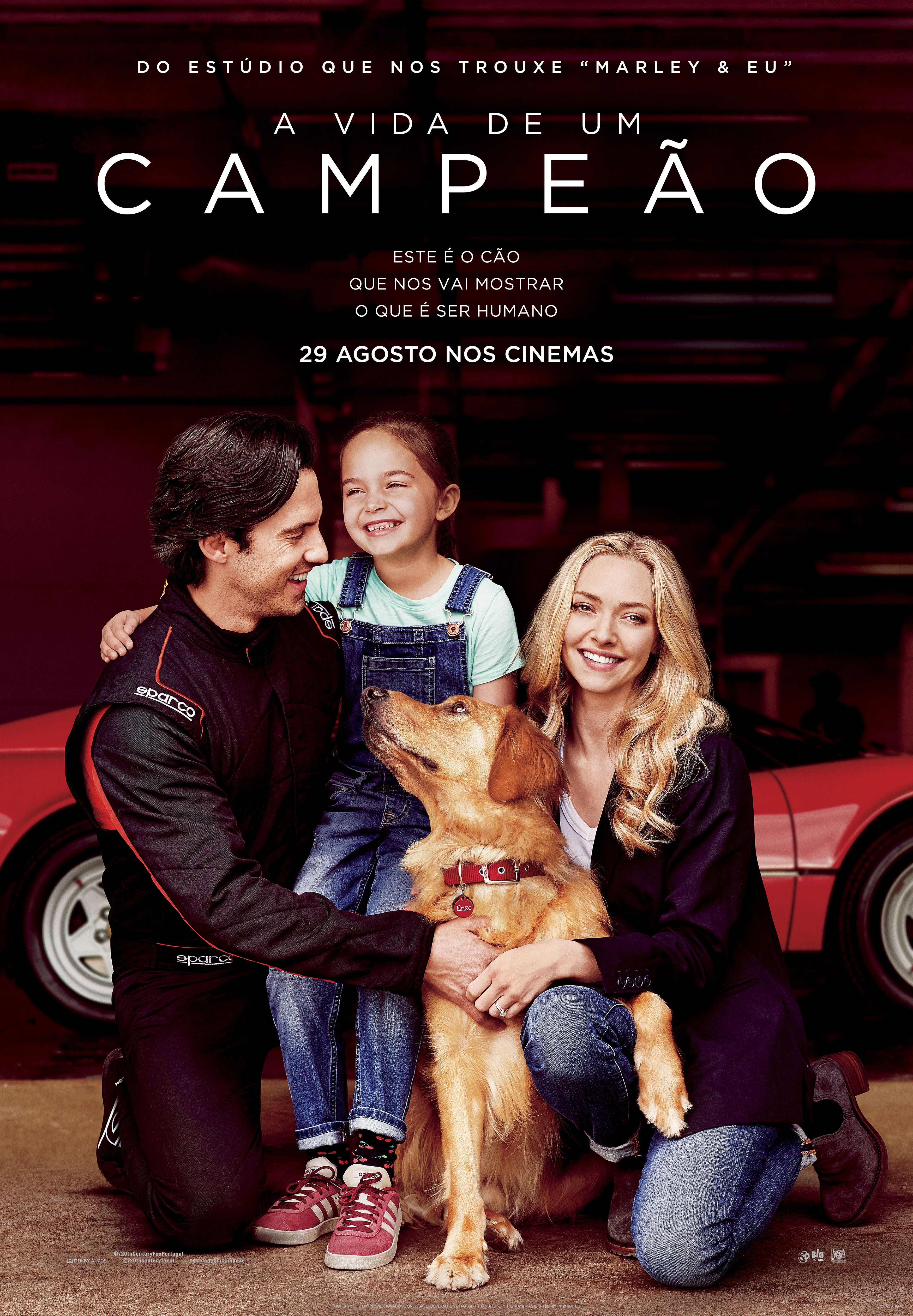 A VIDA DE UM CAMPE�O