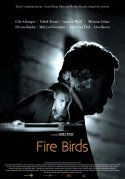Fire Birds � CICLO �