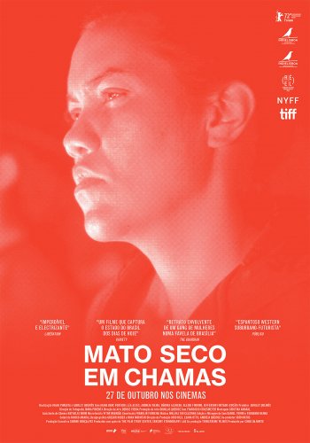 MATO SECO EM CHAMAS
