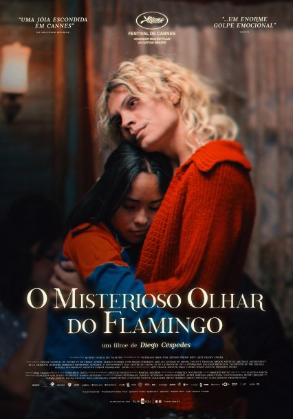 MISTERIOSO OLHAR DO FLAMINGO, O